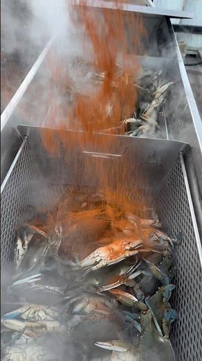 Steamed Blue Crabs 🦀 #cooking #seafood