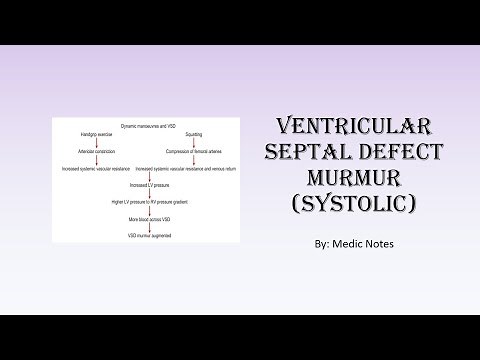 Ventricular septal defect murmur and its mechanism