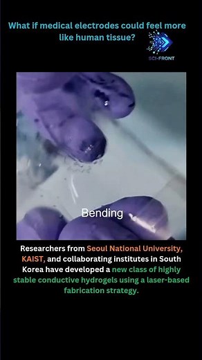 Laser-Engineered Conductive Hydrogels Enable Long-Lasting Bioelectronic Electrodes