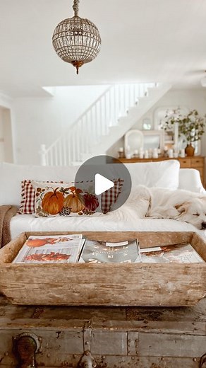 Liz Marie - Cozy Cottage Style on Instagram: "Whenever I’m making our home cozy I’m always thinking of this community. Whether it’s tips I want to remember to share, tutorials, or sources I want to give. This week when I shopped for fall decor I thought of you guys & bought an extra set of this gingham & pumpkin pillow to give one of you. Just leave a comment below of something that brought you joy this week & I’ll pick a winner next week. THANK YOU for being in this cozy little community & for 