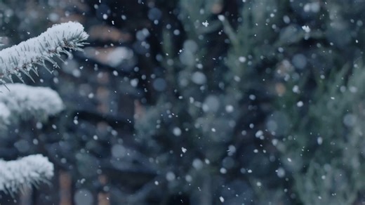 Wishing you the warmest holiday season from your NCMC family. 🫶🐺 | North Central Michigan College