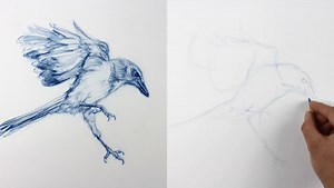 The Art of Drawing: Brent Eviston Teaches in 3 Essential Videos