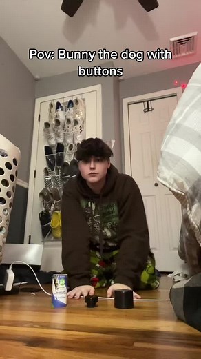 Bunny the Talking Dog: Unraveling the Mystery