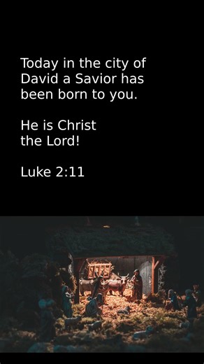 Jesus Christ our Savior was Born