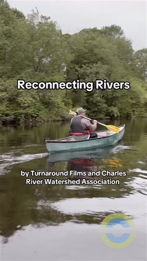 First look of our new short film: Reconnecting Rivers produced with @turnaroundfilms this film delves into the challenges posed by defunct dams in the Charles River watershed and beyond, highlighting local efforts to address them. We are hosting free screenings in Watertown (January 8) and Natick (January 28) 🎟️ get your free tickets using the link in our bio! #river #water #film #free | Charles River Watershed Association