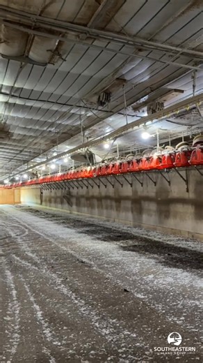 Baileyton Farms – Two Broiler Farms | Cullman County, Alabama PoultrySouth is proud to bring Baileyton Farms to market—an excellent opportunity to acquire two well-maintained broiler farms selling together in the heart of Cullman County, Alabama. These farms are located within 10 minutes of one another and offer a combined gross annual income of approximately $370,000, based on a three-year historical average. Both farms operate under contract with Tyson Foods, growing a 6 lb bird. Interested in