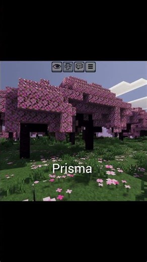 Minecraft Pe Realistic Shaders 😍🔥 10 Sec Magic #shorts