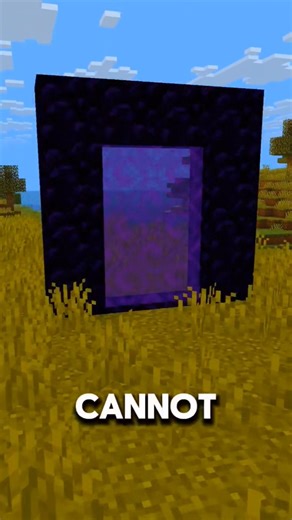 Do You Know This Minecraft Bedrock vs Java Nether Secret? 😱 #minecraft #shorts