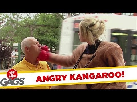 Angry Fighting Kangaroo, Part 2