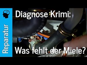 Differential-Diagnose: "Das Rätsel der pumpenden Spülmaschine"