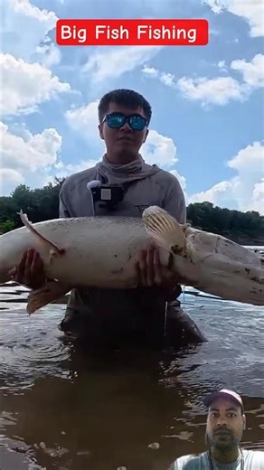 Catching Big Fish In The Sea #fishing #youtubeshorts #greenscreen #viralvideo