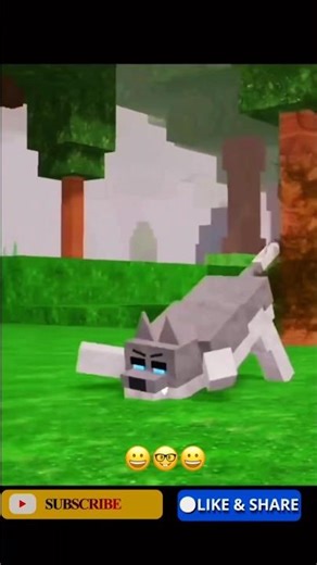 Cute but dangerous 😅🐺#funny#shorts