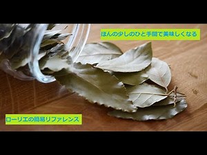 【スパイスを知ろう！】ローリエを知ろう！【part20】