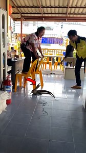 28K views · 105 reactions | Lizards Doing the Most 年 | You Mad Bro? | Facebook