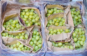 Eating 12 grapes at midnight: the New Year’s supersistion, explained