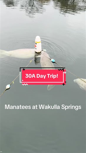 Enjoying nature just a little over a 2 hour drive from 30A