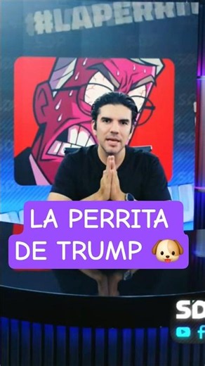 Ayuda a Salinas Pliego: no busques "la perrita de Trump" | PONCHO GUTIÉRREZ en SDPnoche 🌙