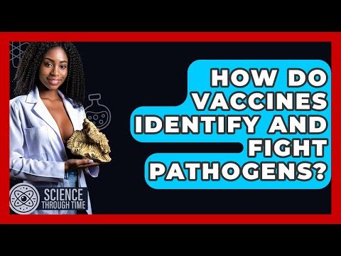How Do Vaccines Identify And Fight Pathogens? - Science Through Time