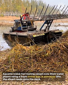 87K views · 162 reactions | Aquatic Weed Harvester. #WeedHarvester #LakeRestoration | Gizmo Trends | Facebook