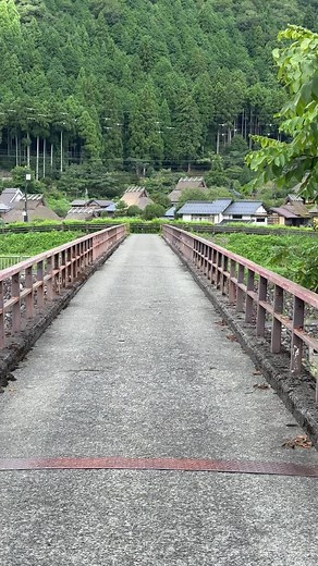 日本の夏 #japan #japantrip #異世界ひとり旅 #日本の夏
