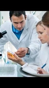 Scientist Working in Laboratory Testing Chemicals in Laboratory Royalty/Copyright Free | Chemistry