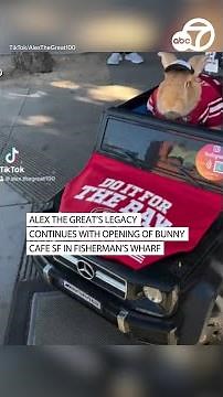 Alex the Great's legacy continues with opening of Bunny Cafe SF in Fisherman's Wharf