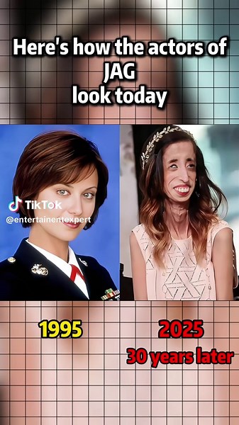 The Cast of JAG: How They Look Today