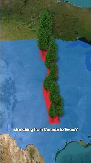 Why the U.S. Planted a 1,300-Mile Wall of Trees Across America