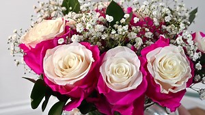 185 reactions · 38 shares | Flowers with a twist  These exclusive two-toned roses are sourced from South America and delivered the very next day. With instant wow factor on arrival, order yours now for that upcoming special occasion. Shop here: https://bit.ly/2MNwizi | Prestige Flowers | Facebook