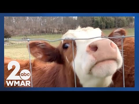 First Fruits Farm's expansion to benefit more families