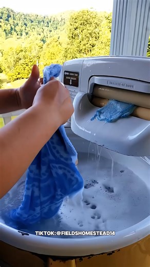 Clothes Wringer! #thethinker #washingmachine #fy | The Thinker