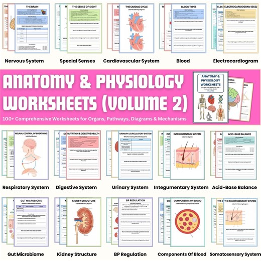 100  Anatomy & Physiology Worksheet Bundle-complete Anatomy Study Guide-nursing School Notes-medical Notes-special Senses-digital Pdfs - Etsy