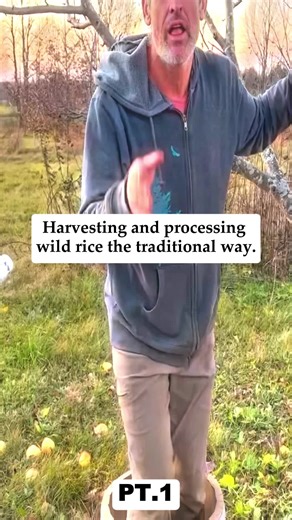 Traditional Wild Rice Harvesting & Processing