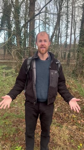 ❄️ Même en hiver, la nature nous régale ! Deux plantes à découvrir et à déguster en cette saison : 🌿 La vergerette de Sumatra, savoureuse crue ou cuite, 🌱 et la cardamine hérissée, aussi appelée cressonnette, au petit goût piquant irrésistible ! Ces plantes nous prouvent qu’il y a toujours matière à cueillir, apprendre et savourer, même sous le froid ☀️ 🎥 Découvrez-les dans notre nouvelle vidéo ! 🌳 Et n’oubliez pas : notre formation “Arbres” est encore en promo -50% pour quelques jours seule