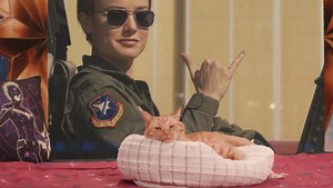 Watch CAPTAIN MARVEL's Goose the Cat for an Hour