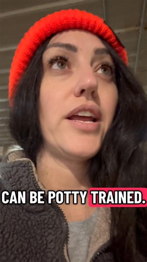 Potty Trained goats?!? Had to hit him with another google says and this one was gold! 😂 And before anyone worries! All these goats have full access to an outdoor pen and look crowded because they heard us messing with the feed and just had to check it out 🥰 🐐 #Googlefarmer #farmher #farmily #goats #funny #Minnesota #farmlife | Brandy Brink