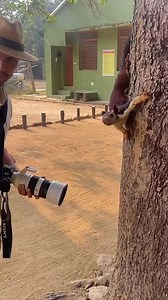 Malabar Giant Squirrel “nanhi😜” 🐿️🐿️ spotted by #JungleeHooda spotted by @saroshlodhi lunching at Churna resthouse in Satpura tiger reserve 😂 #wildrandeep | Randeep Hooda