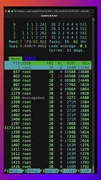 Is htop the Best Tool for Watching Processes?