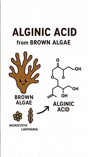 Alginic acid : Obtained from Brown algae 🌿 || #neet #biology #algae #biological #classification