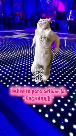 bailecito para la racha #paralaracha . #larachaaaaaaaaaa🔥 #parati #fyp #viral