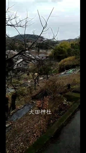 人気のない神社でしたが、巨木の、楠木に圧巻されました。 とても良い参拝が出来た。