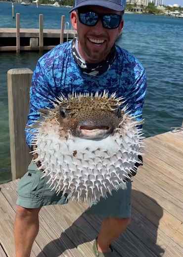 Why Do Pufferfish Puff Up? Explore Their Defense Mechanism