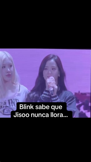 Por favor chicos dejen de crear teorías y pensar cosas que no las pinks seguras juntas manifiesten 😭🖤🩷#blink #blackpink