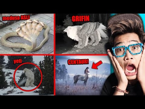 DIKIRA MITOS! Bukti Makhluk Mitologi Beneran Ada di Dunia Nyata!