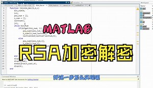 MATLAB的RSA图像加密解密系统