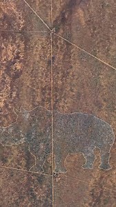 South Africa, 🇿🇦 African continent location : 22°15'53"S 29°29'29"E #googleearth #map #worldgeography #Reels #ภูมิศาสตร์ Mystery ,Famous places📍,Tourist Attractions Map Content ,Search mode on.🌍 | Earth 3D