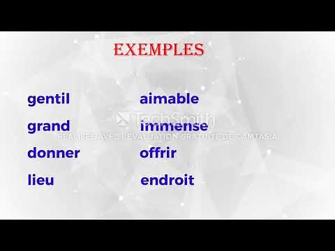 lexique : les synonymes / 6ème année primaire.