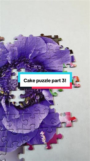 Creating a Cake Jigsaw Puzzle Timelapse