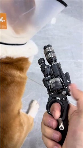 It looks like it really doesn't like this particular EDC toy.#hottoys #edc #edccarry #stresstoy