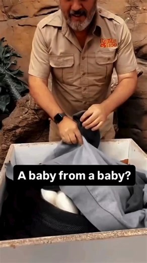 9xChat reads your AI answers out loud 🎧 | Read Out Loud Feature